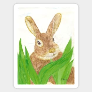 Easter bunny in the grass Sticker